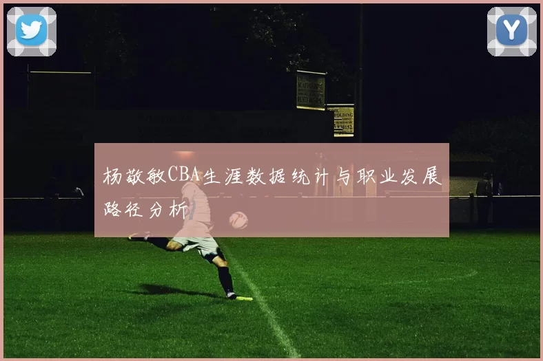 杨敬敏CBA生涯数据统计与职业发展路径分析