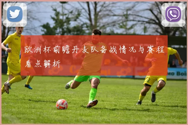 欧洲杯前瞻丹麦队备战情况与赛程看点解析