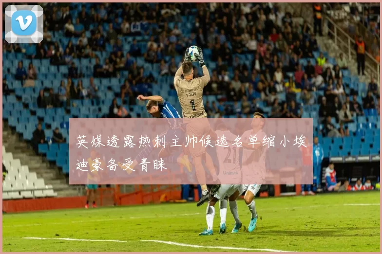 英媒透露热刺主帅候选名单缩小埃迪豪备受青睐