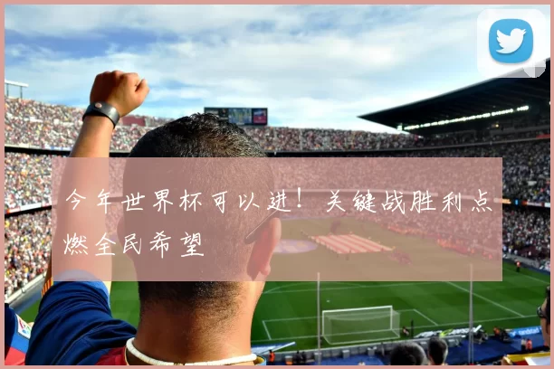 今年世界杯可以进！关键战胜利点燃全民希望