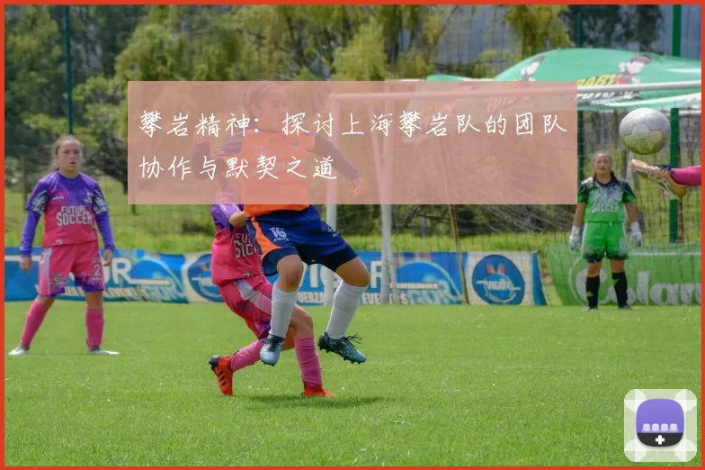 攀岩精神:探讨上海攀岩队的团队协作与默契之道