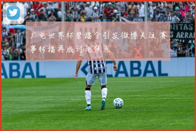 广电世界杯禁播令引发微博关注 赛事转播再成讨论焦点