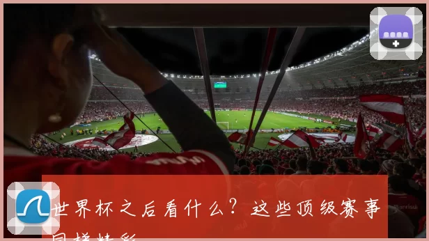 世界杯之后看什么?这些顶级赛事同样精彩