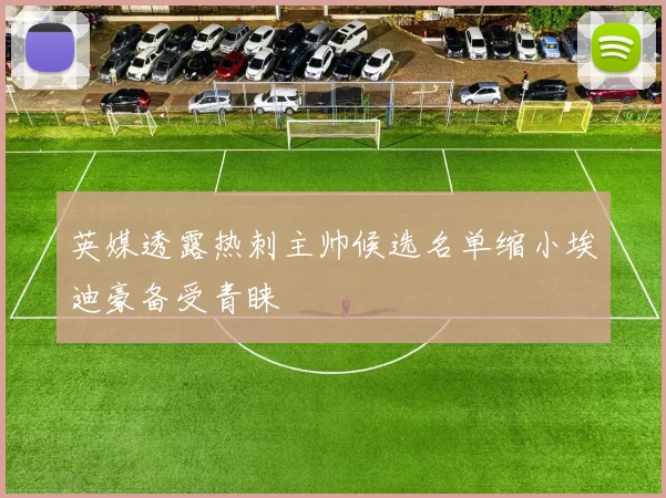 英媒透露热刺主帅候选名单缩小埃迪豪备受青睐