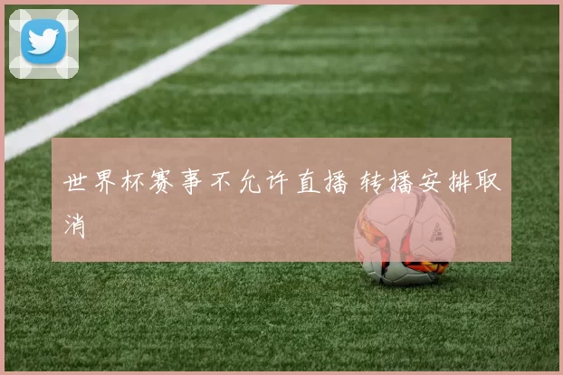 世界杯赛事不允许直播 转播安排取消