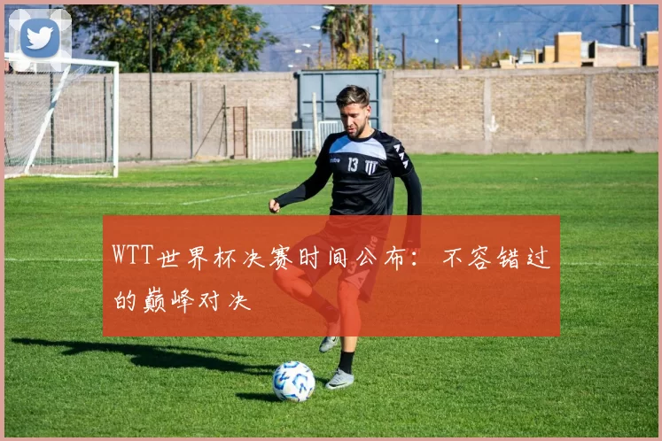 WTT世界杯决赛时间公布:不容错过的巅峰对决
