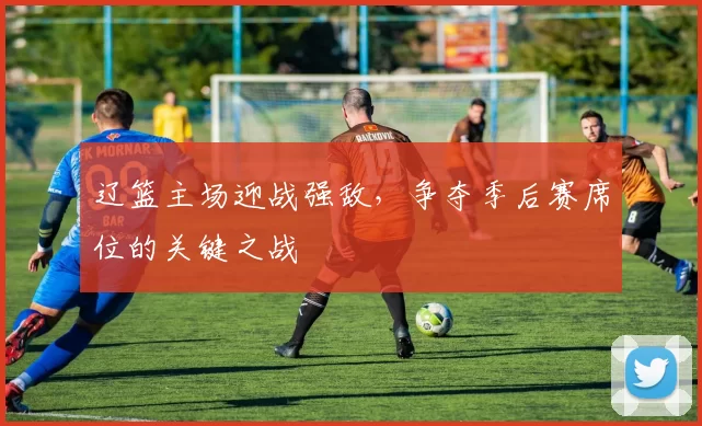 辽篮主场迎战强敌,争夺季后赛席位的关键之战