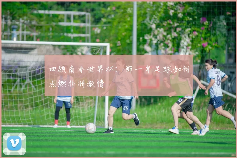 回顾南非世界杯：那一年足球如何点燃非洲激情