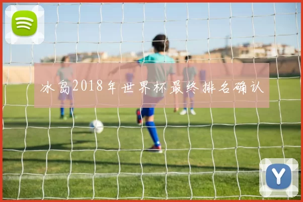 冰岛2018年世界杯最终排名确认