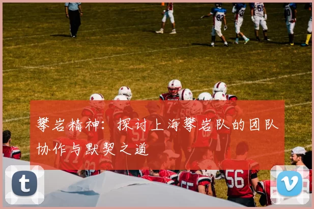 攀岩精神:探讨上海攀岩队的团队协作与默契之道