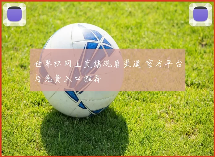 世界杯网上直播观看渠道 官方平台与免费入口推荐