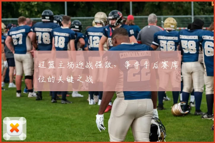 辽篮主场迎战强敌,争夺季后赛席位的关键之战