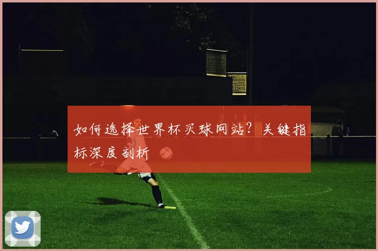 如何选择世界杯买球网站？关键指标深度剖析